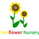 Sunflower Nursery