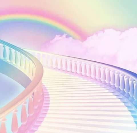 Rainbow Nursery & Kindergarten